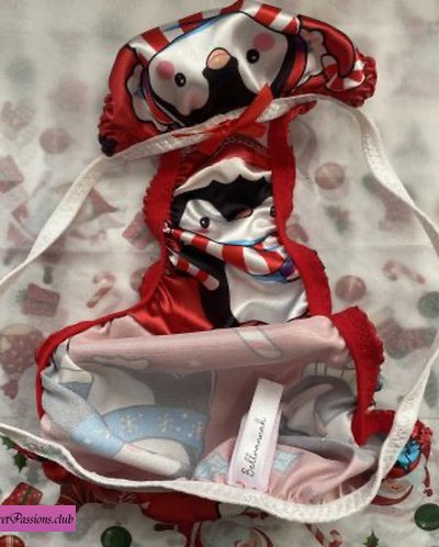 Perfect Christmas Satin Panties + FREE GIFT!